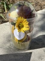 EASTER TO GO CUP