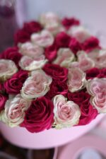 AMOUR - Image 3