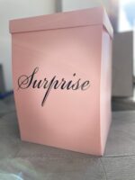 SURPRISE - Image 5