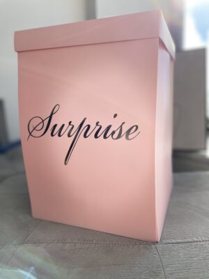 SURPRISE - Image 5
