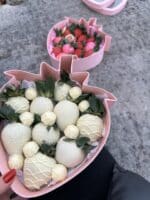 STRAWBERRY LAND - Image 5